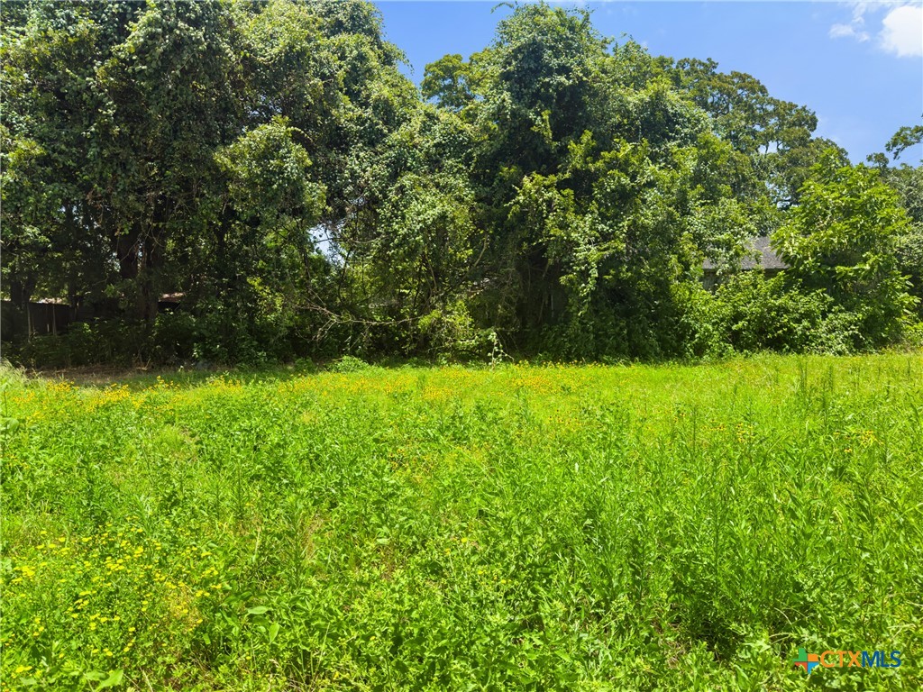 203 Trinity Street Hearne, TX 77859 - Photo 4 of 9