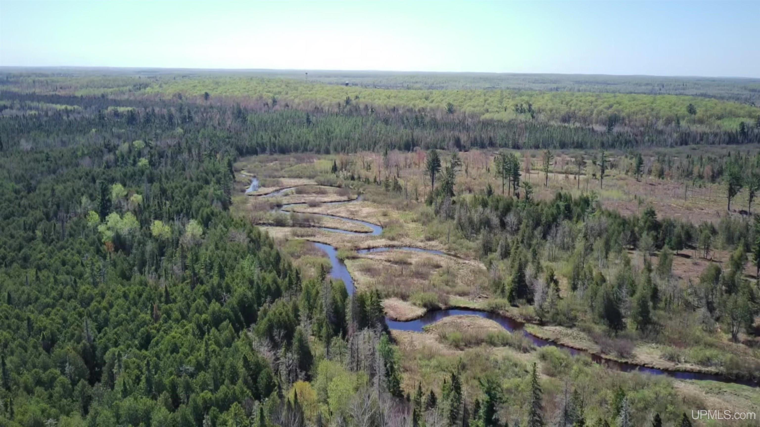 Tbd Tbd Sg Road Felch, MI 49831 - Photo 1 of 11