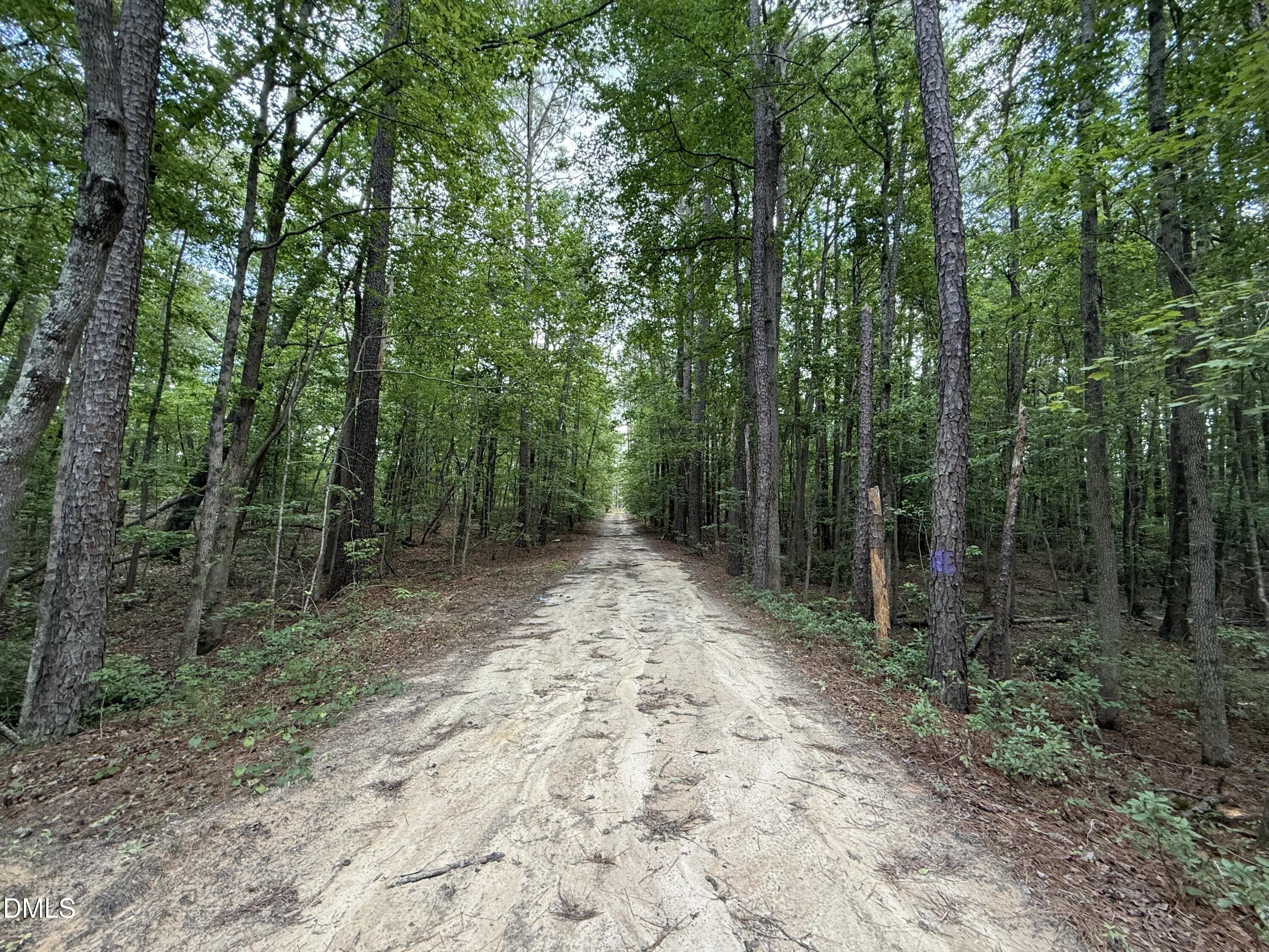 0 Elfman Drive Spring Lake, NC 28390 - Photo 27 of 40 a view of a forest with trees in the background