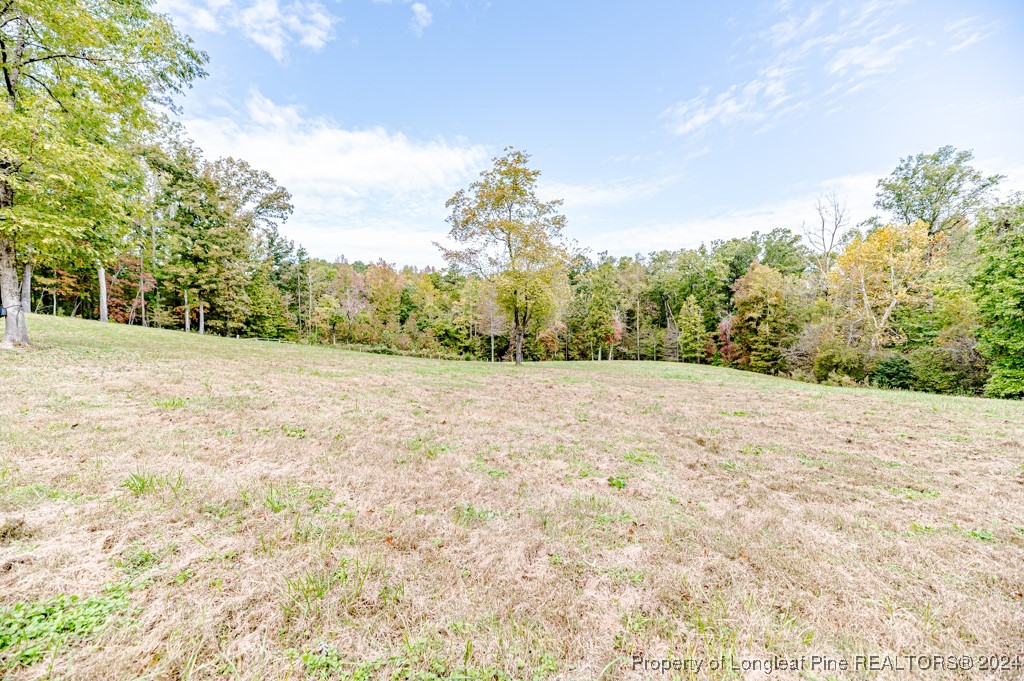197 Bethany Springs Road Sanford, NC 27330 - Photo 40 of 50 Gallery Image 40