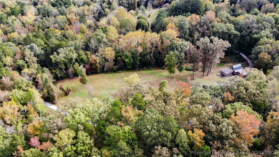 197 Bethany Springs Road Sanford, NC 27330 - Photo 44 of 50 Gallery Image 44