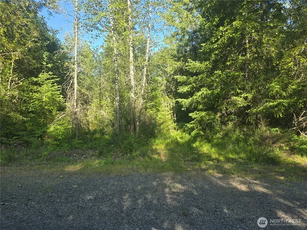 $160,000 | 13721 Starflower Lane Southeast, Yelm, WA 98597