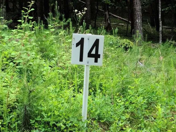 $33,252 | Lot 14 Belle Isle Drive, Union Hall, VA 24176