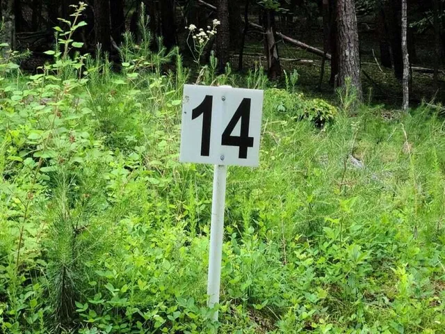 $33,252 | Lot 14 Belle Isle Drive, Union Hall, VA 24176