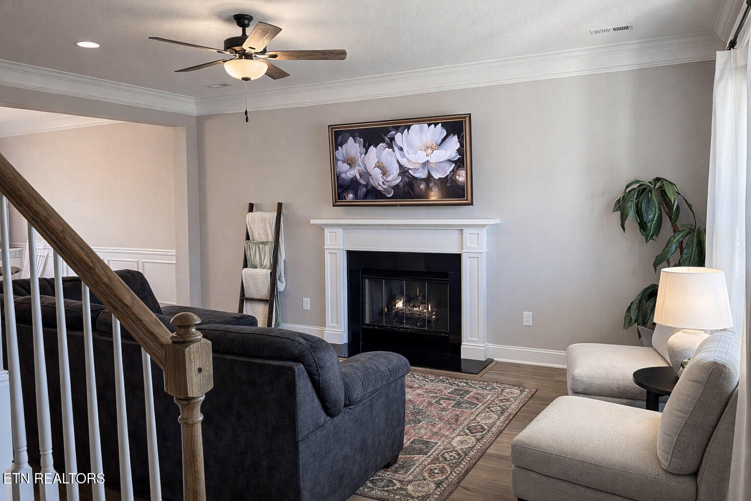 8146 Zenith Lane Powell, TN 37849 - Photo 7 of 36 7_Living Room 4