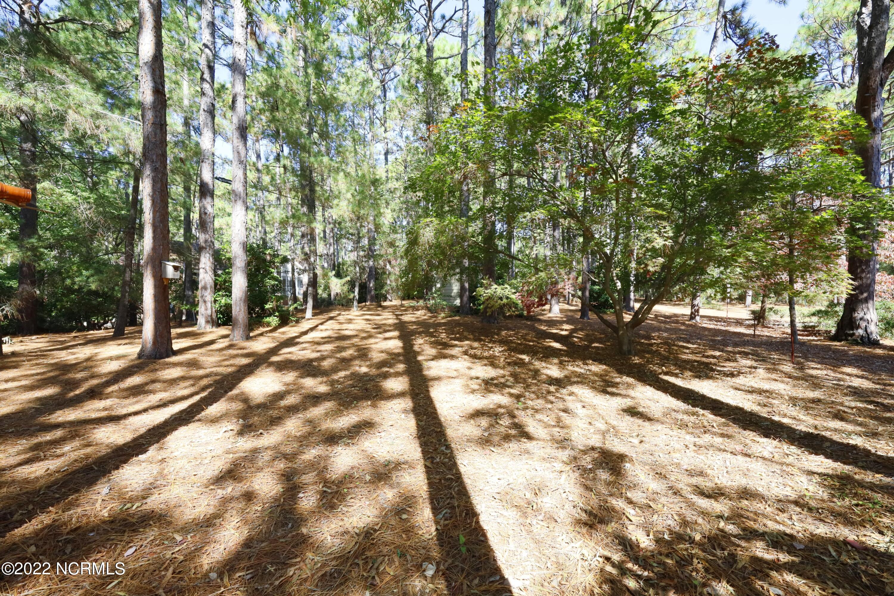 300 Grove Road Southern Pines, NC 28387 - Photo 54 of 69 56Back