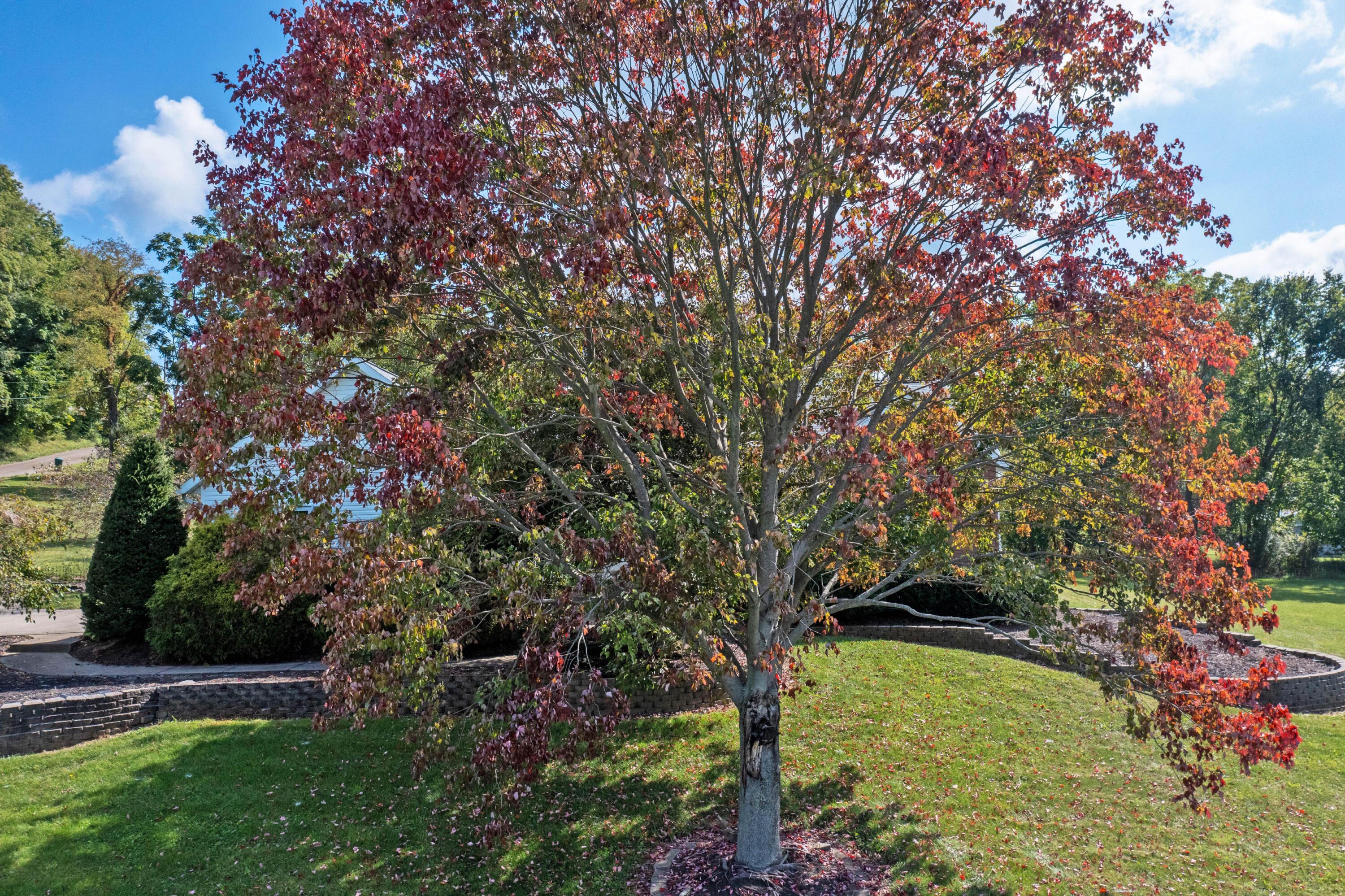 1166 Hathaway Road Bellville, OH 44813 - Photo 42 of 71 1166HathawayRoadExt_Hommati102(8)