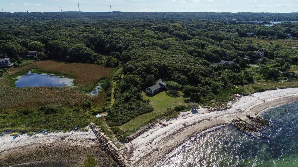 114 Quaker Road Falmouth, MA 02540 - Photo 23 of 35 a view of a forest with a yard