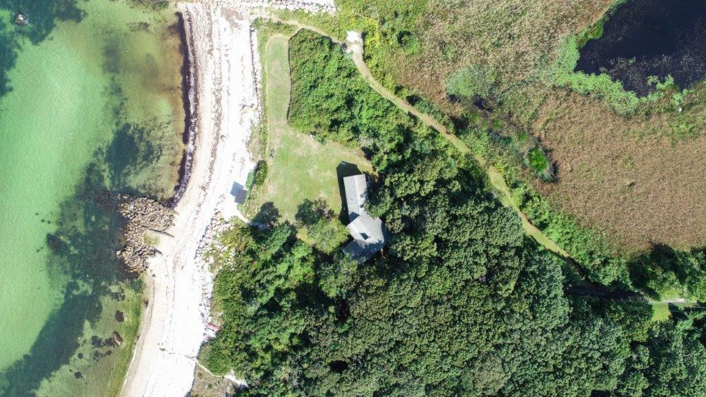 114 Quaker Road Falmouth, MA 02540 - Photo 29 of 35 a close up of a plant in a garden