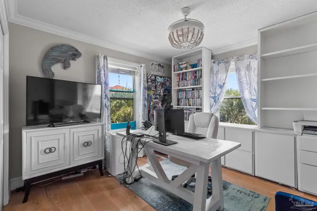 a view of a livingroom with furniture window and wooden floor