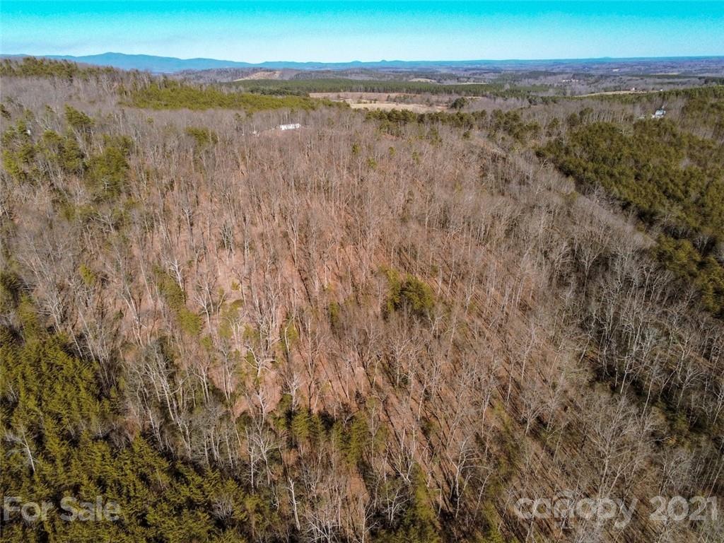 0 Hollis Road Bostic, NC 28018 - Photo 11 of 15 Gallery Image 11