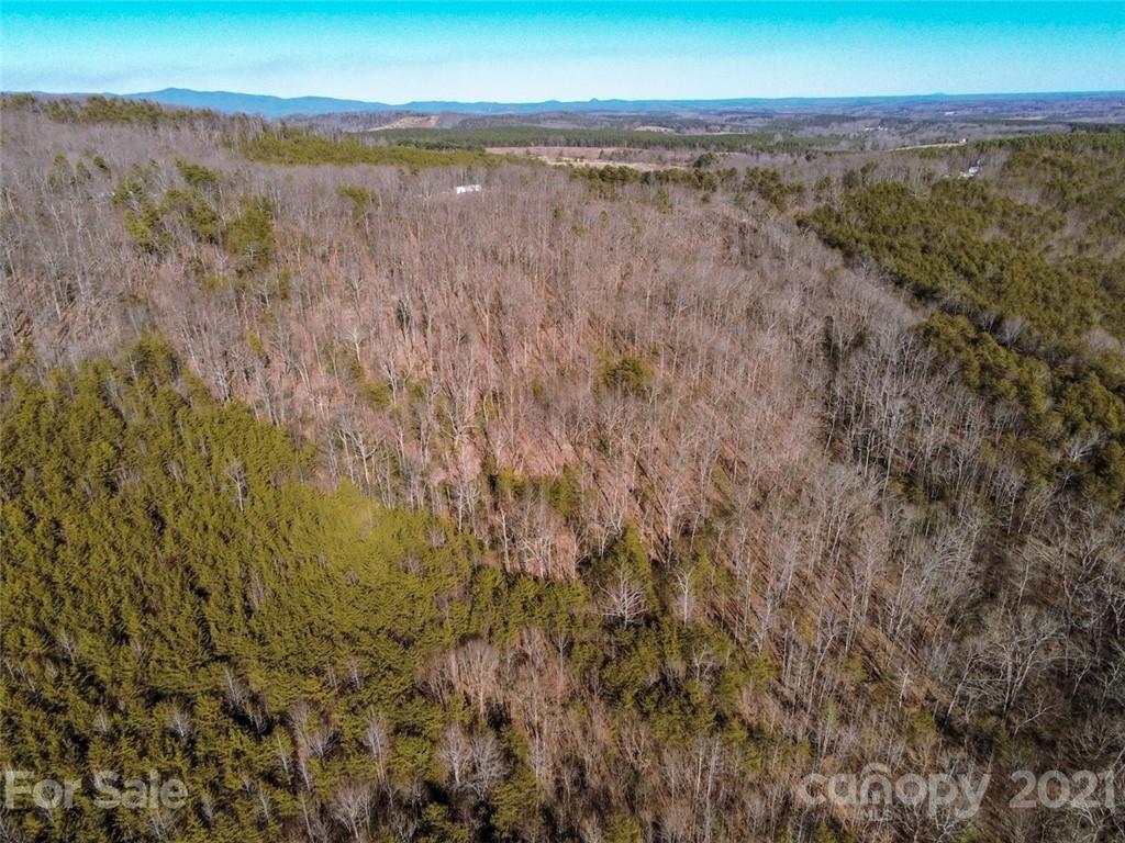 0 Hollis Road Bostic, NC 28018 - Photo 12 of 15 Gallery Image 12