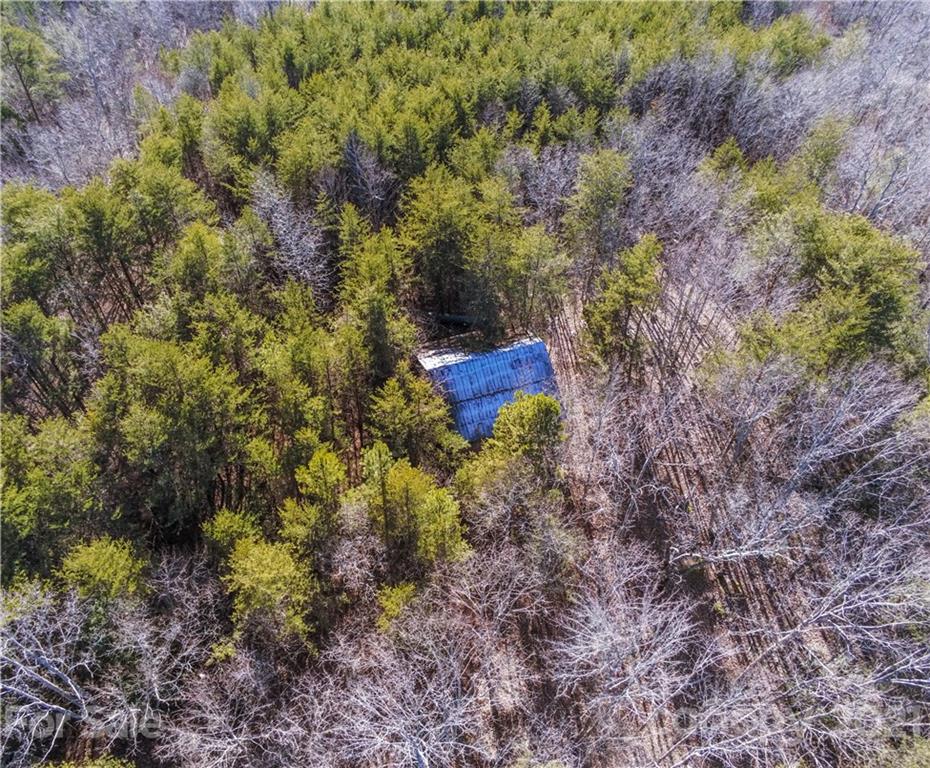 0 Hollis Road Bostic, NC 28018 - Photo 10 of 15 Gallery Image 10
