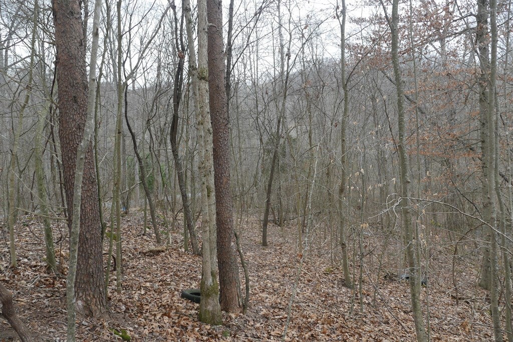 Tbd Old Mill Road, Unit 23 Glade Spring, VA 24340 - Photo 28 of 32 Gallery Image 28