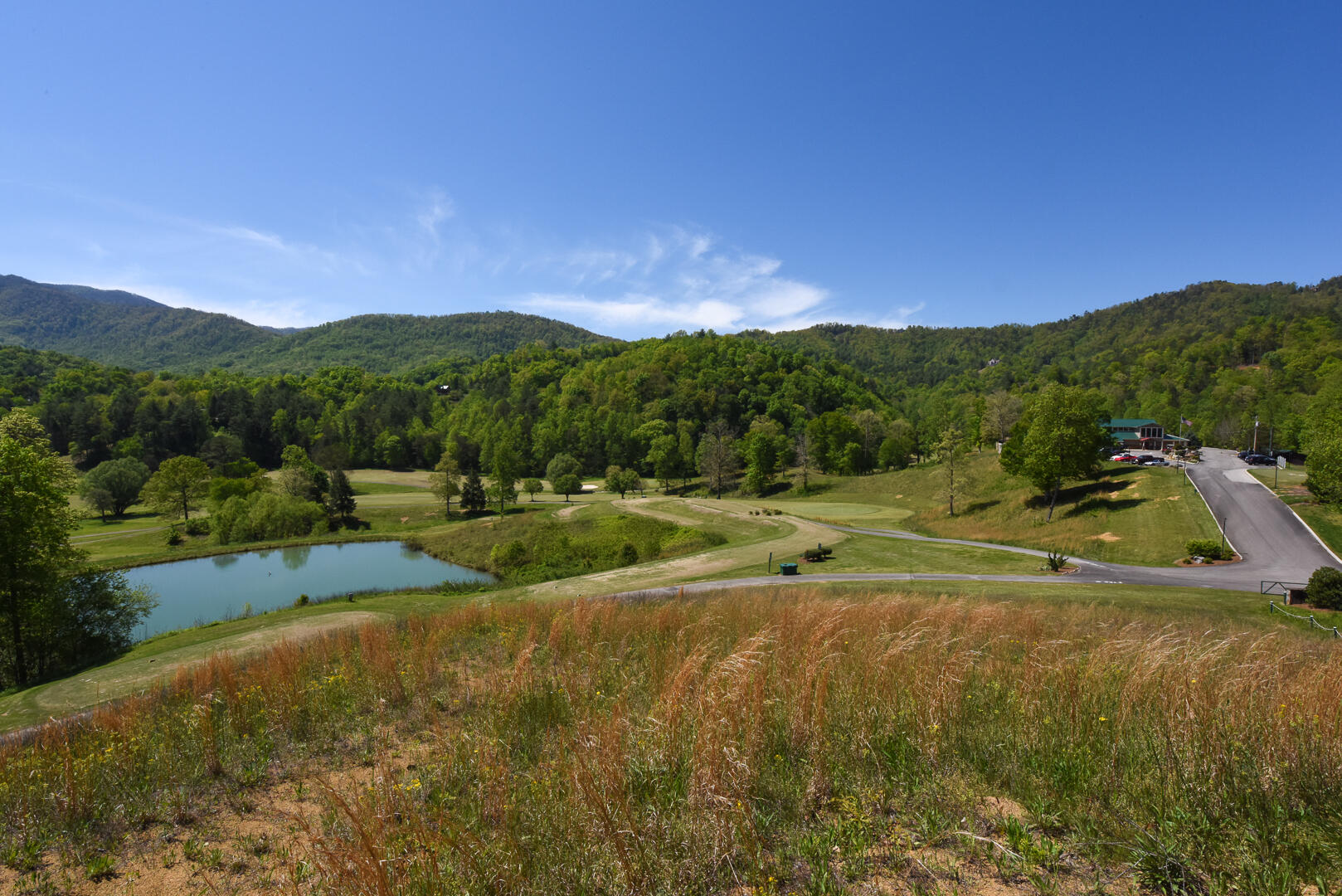 726 Hunters Run Road Townsend, TN 37882 - Photo 1 of 3 DSC_1261