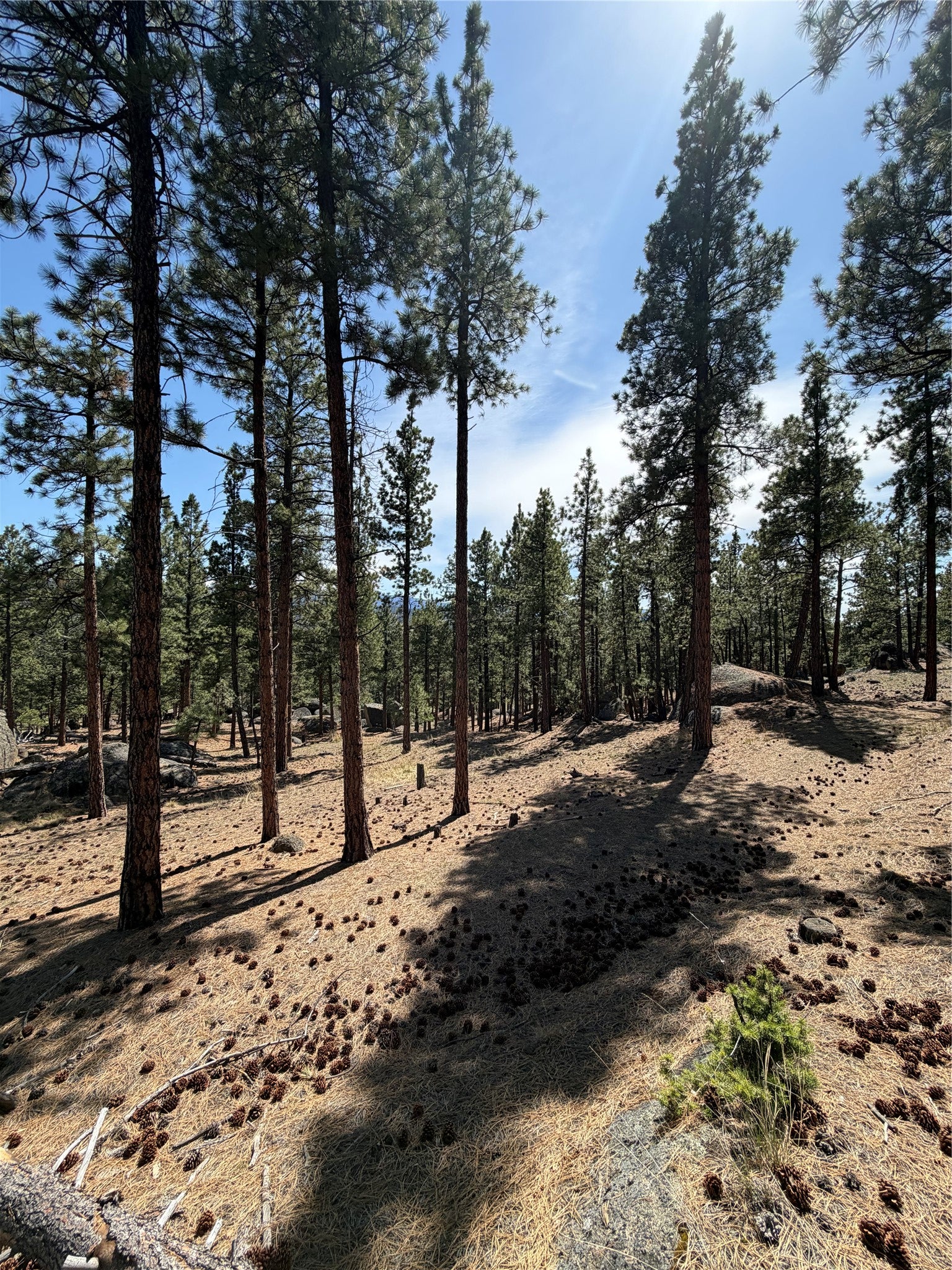 15 Old Abe Road Clancy, MT 59634 - Photo 21 of 32 Gallery Image 21