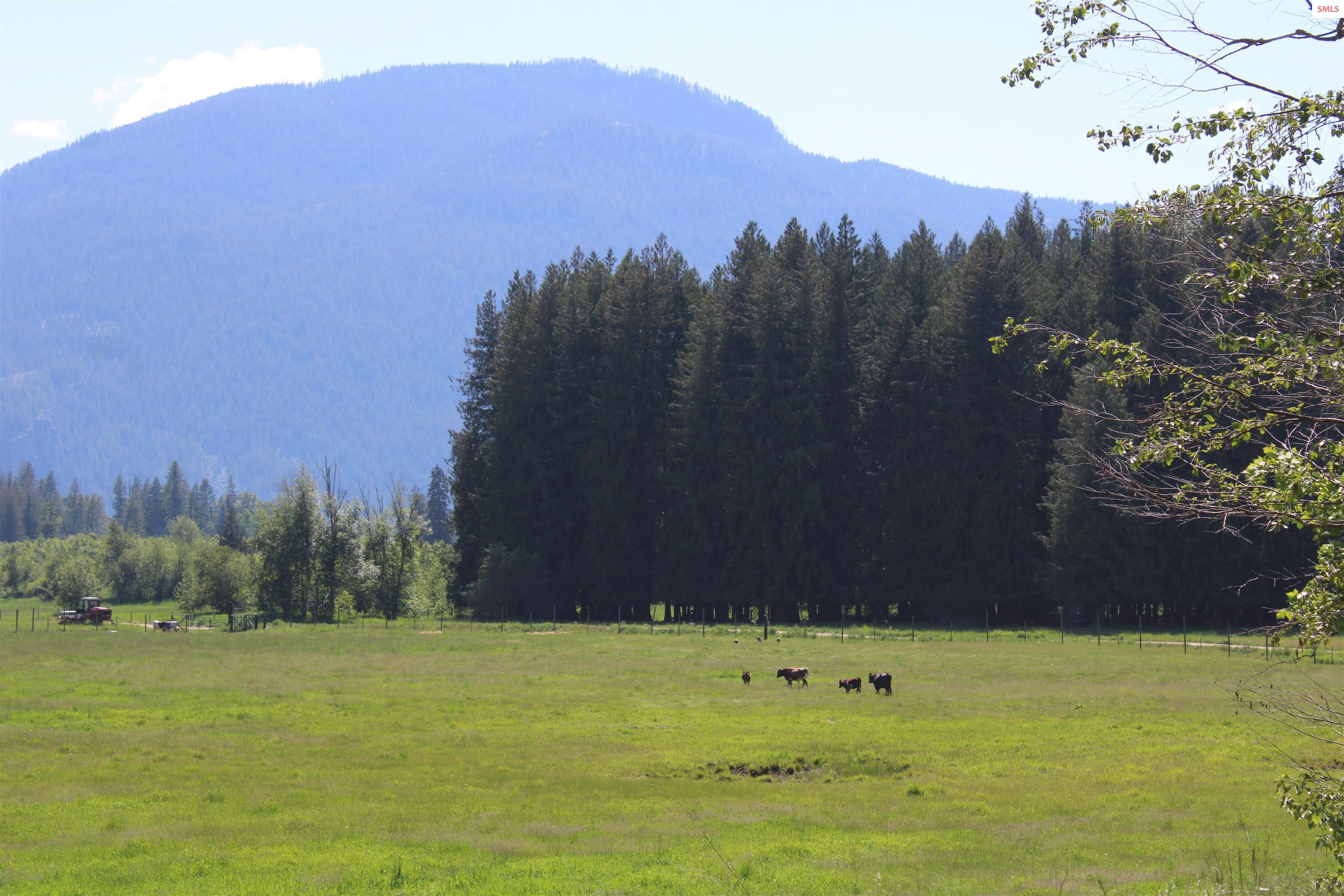 346 Old Range Road Clark Fork, ID 83811 - Photo 31 of 32