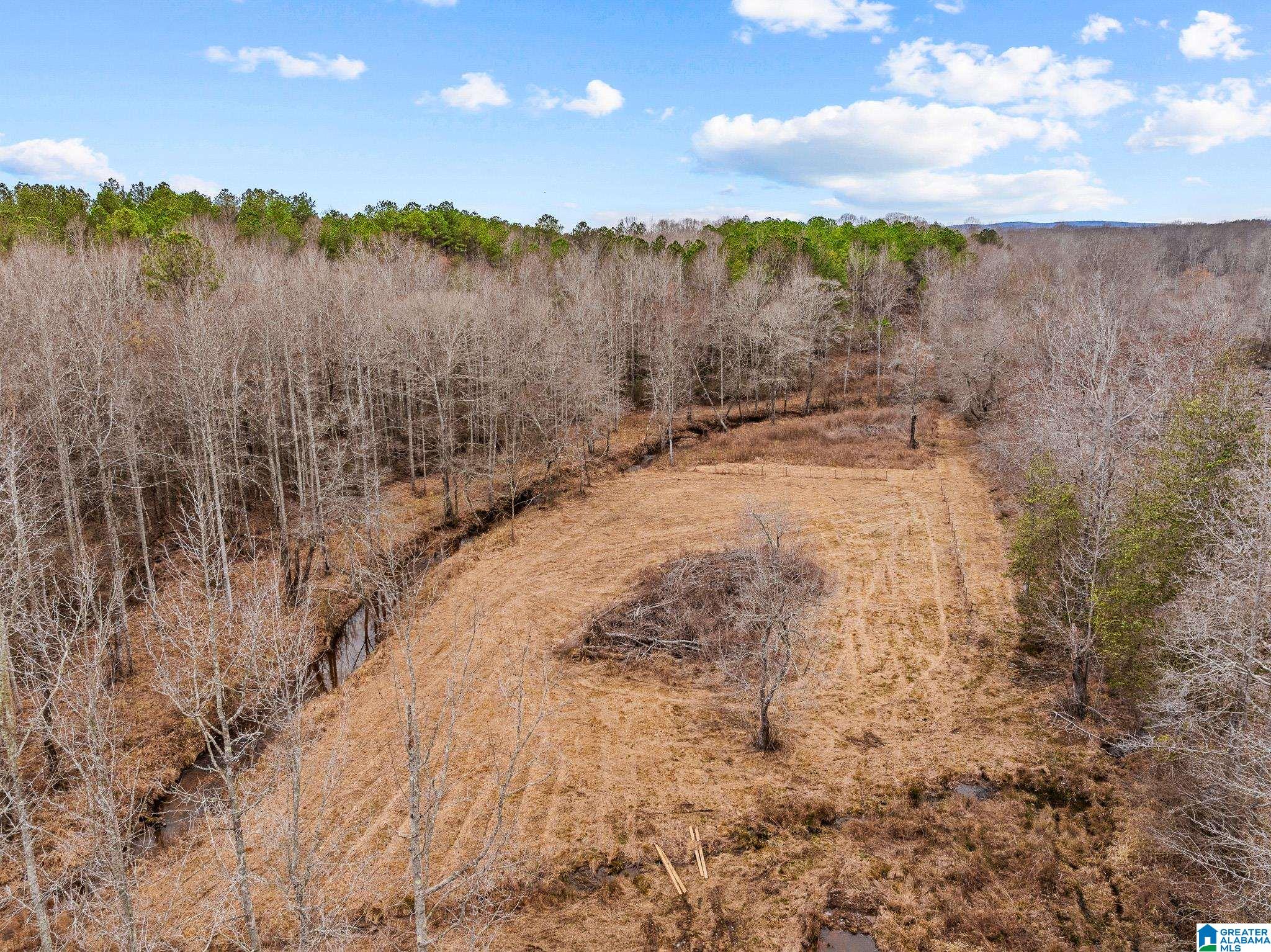 2885 McKay Road Delta, AL 36258 - Photo 50 of 56