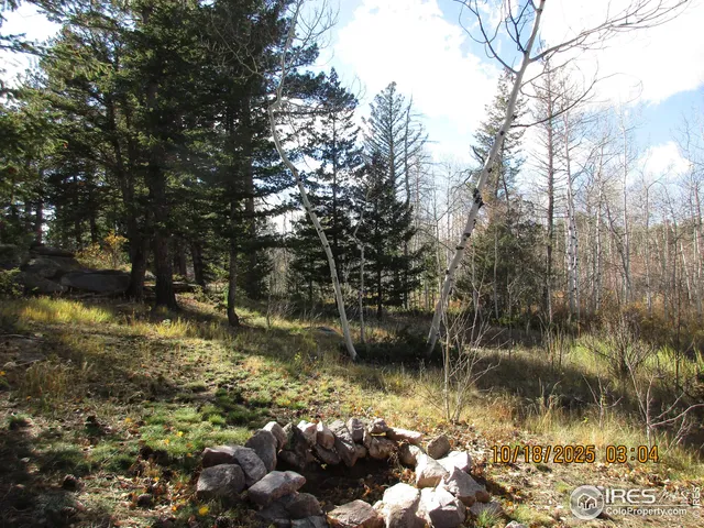 $360,000 | 58 Aspen Lane, Red Feather Lakes, CO 80545