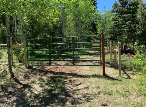 3414 Divide Creek Road Divide, MT 59727 - Photo 11 of 61 Gallery Image 11