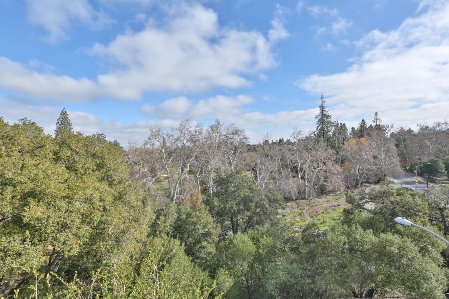 22344 McClellan Road Cupertino, CA 95014 - Photo 37 of 42 a view of a city with lush green forest