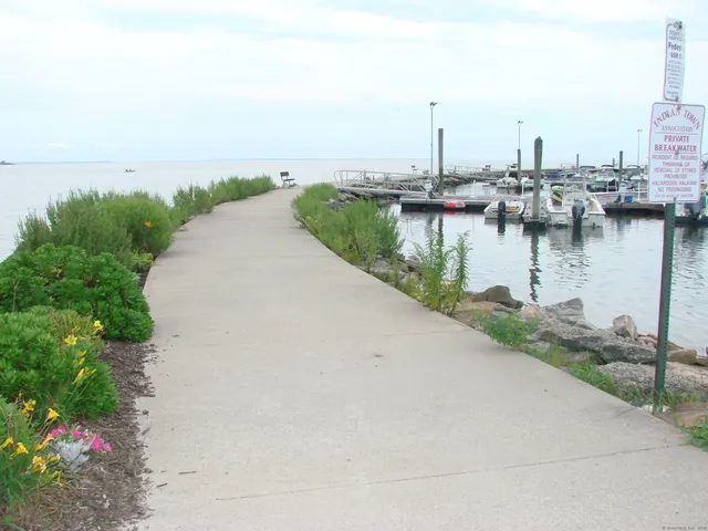a view of a terrace with lawn chairs