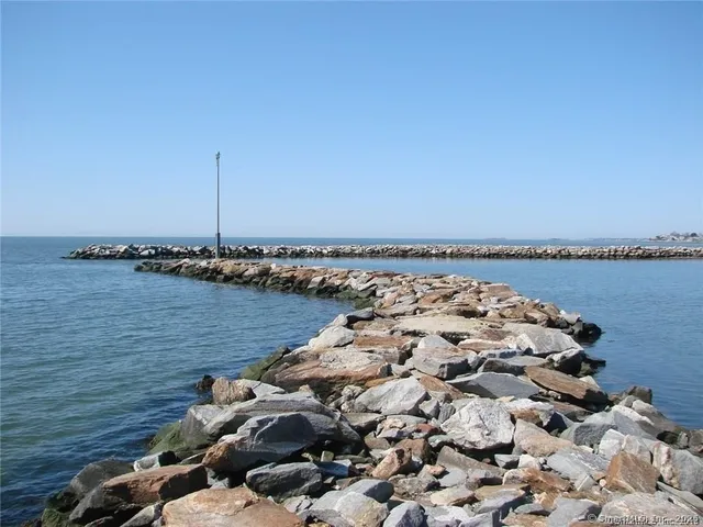 a view of a park with large trees