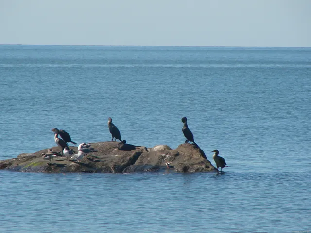 $2,400 | 9 Red Bird Trail, Old Saybrook, CT 06475