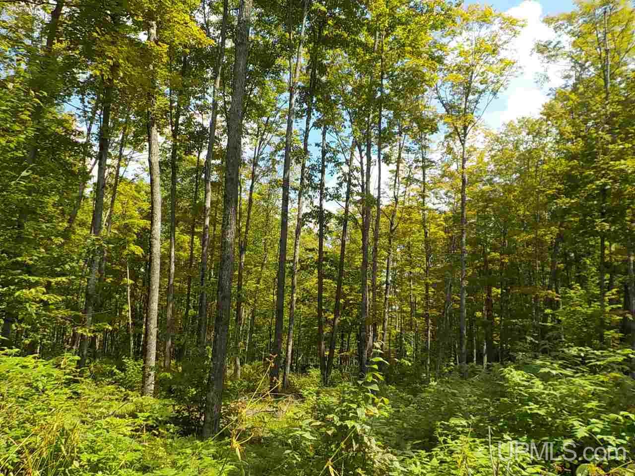 80-ac Mcclaren Road Crystal Falls, MI 49920 - Photo 22 of 27