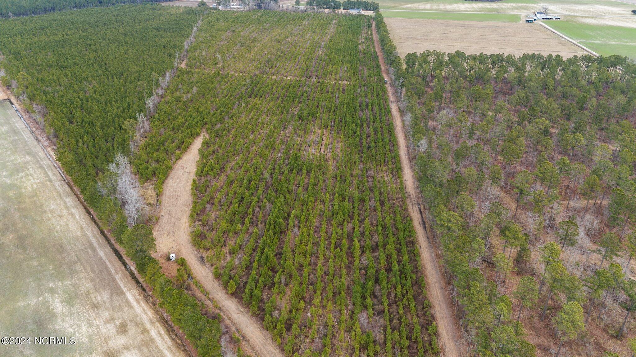 0 Lloyd Corey Road Stokes, NC 27884 - Photo 11 of 21 20-web-or-mls-DJI_20240123115136_0080_D