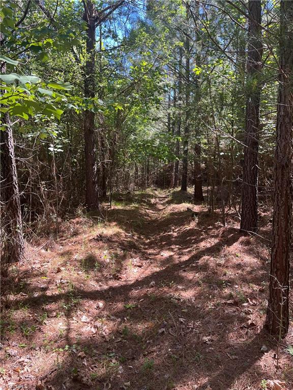 0 Palmer Road Germanton, NC 27019 - Photo 3 of 3