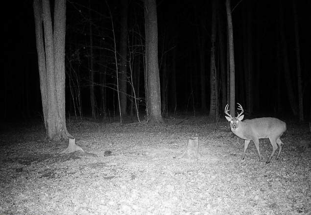 Ooo Snowshoe Road Wausau, WI 54403 - Photo 25 of 48