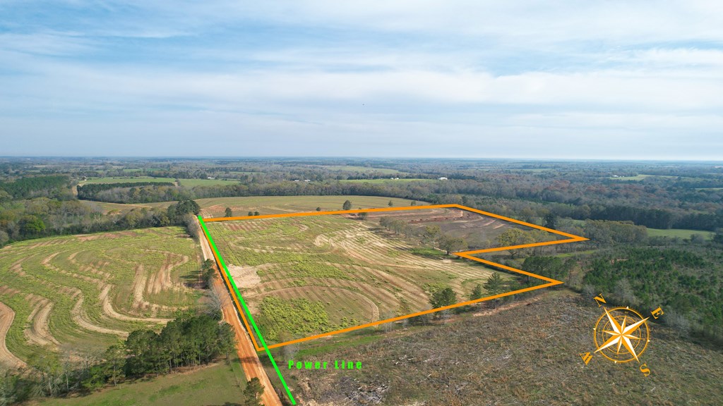 0 Travis Wise Road Samson, AL 36477 - Photo 7 of 21