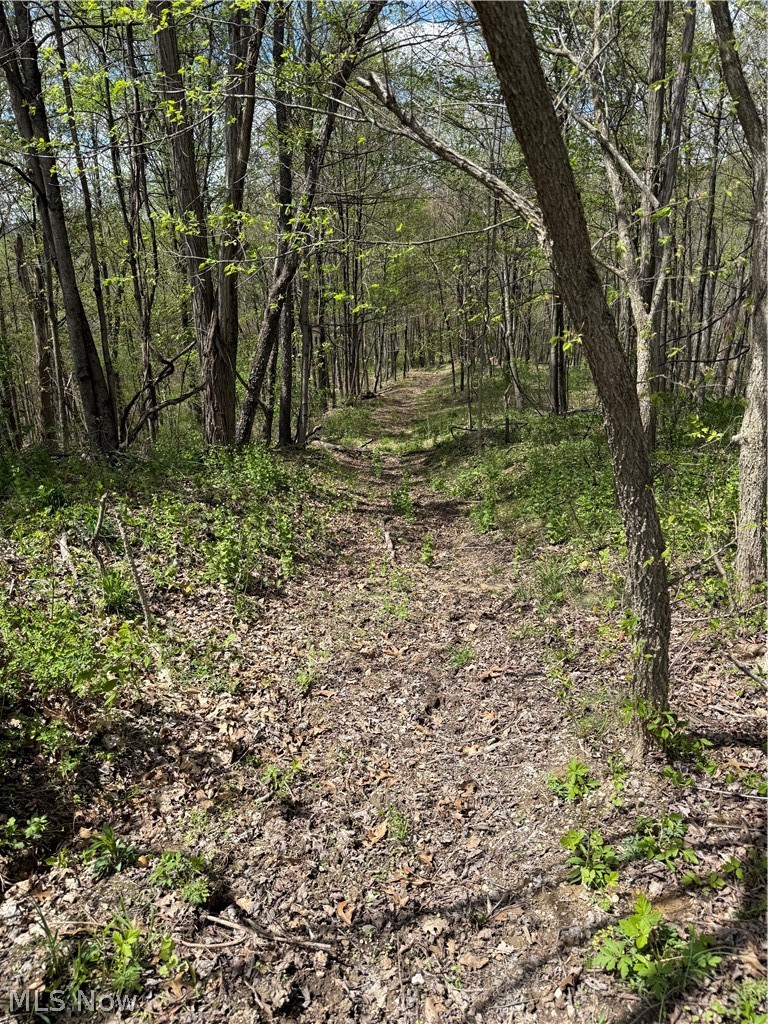 Plainview Road Woodsfield, OH 43793 - Photo 2 of 20