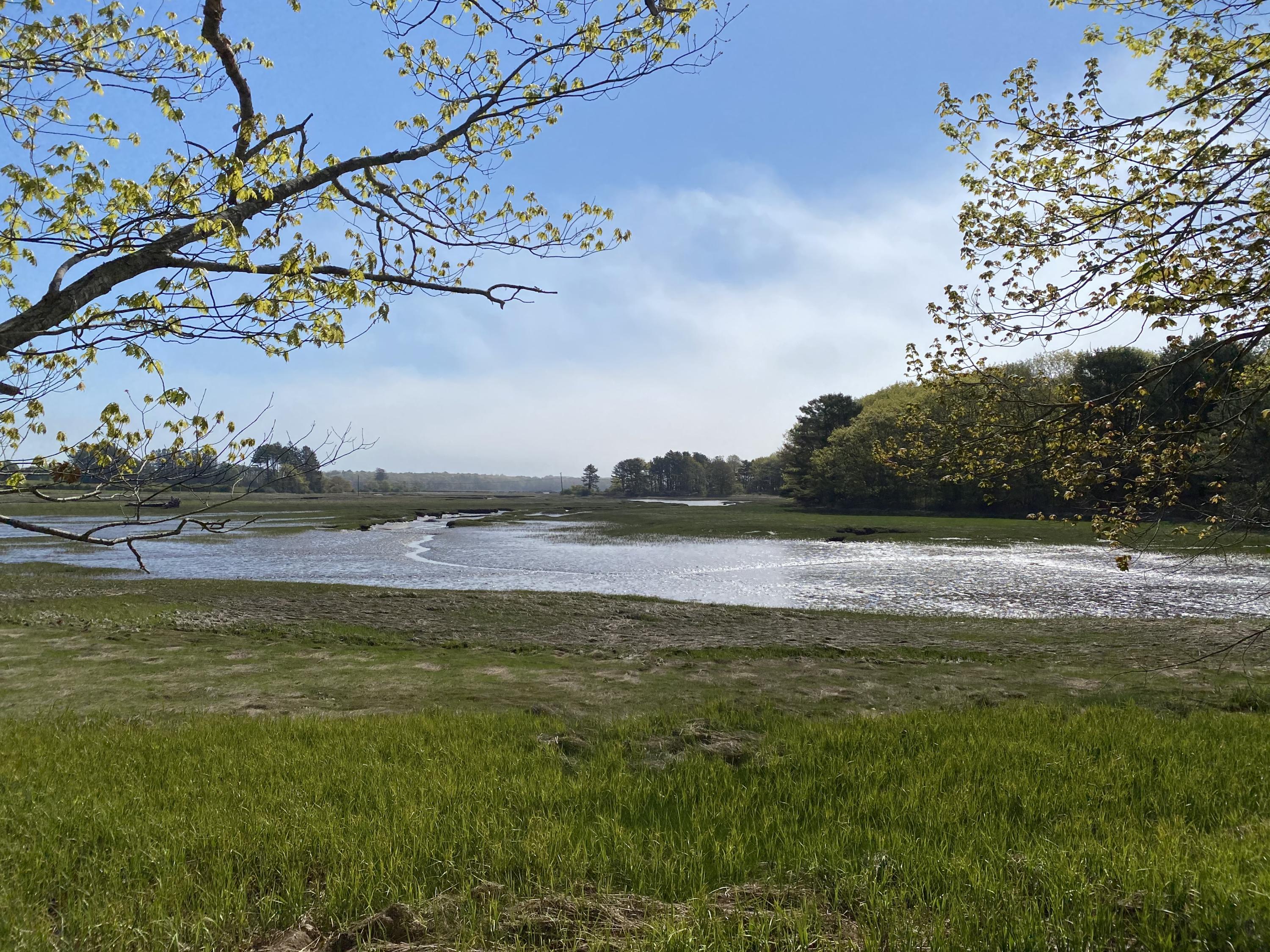 0 Cresent Surf Road Kennebunk, ME 04043 - Photo 14 of 20 2FE6E414-918A-46A6-9898-2F52033493DA