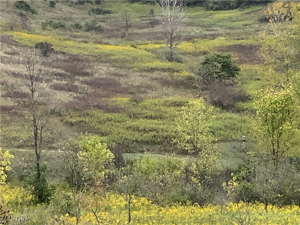 Taylor Road Dennison, OH 44621 - Photo 17 of 27 View of nature