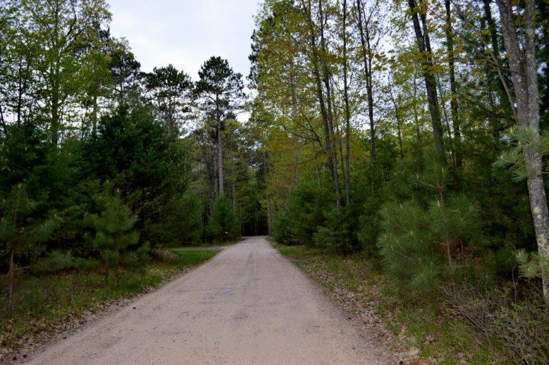 On Wakefield Lake Road, Unit LOT 2 St. Germain, WI 54558 - Photo 7 of 15 Gallery Image 7
