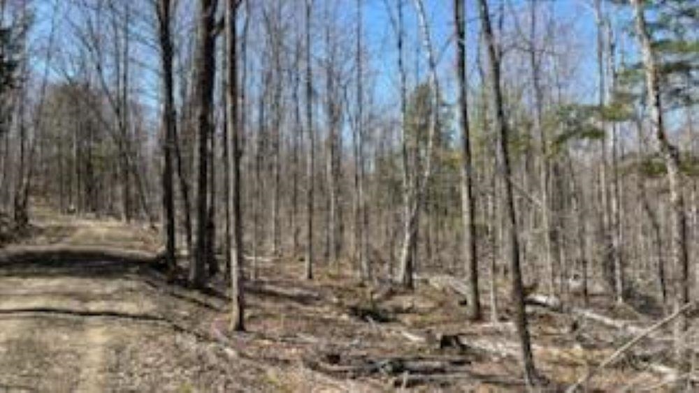 1376 Kingdom Road Ludlow, VT 05149 - Photo 11 of 23