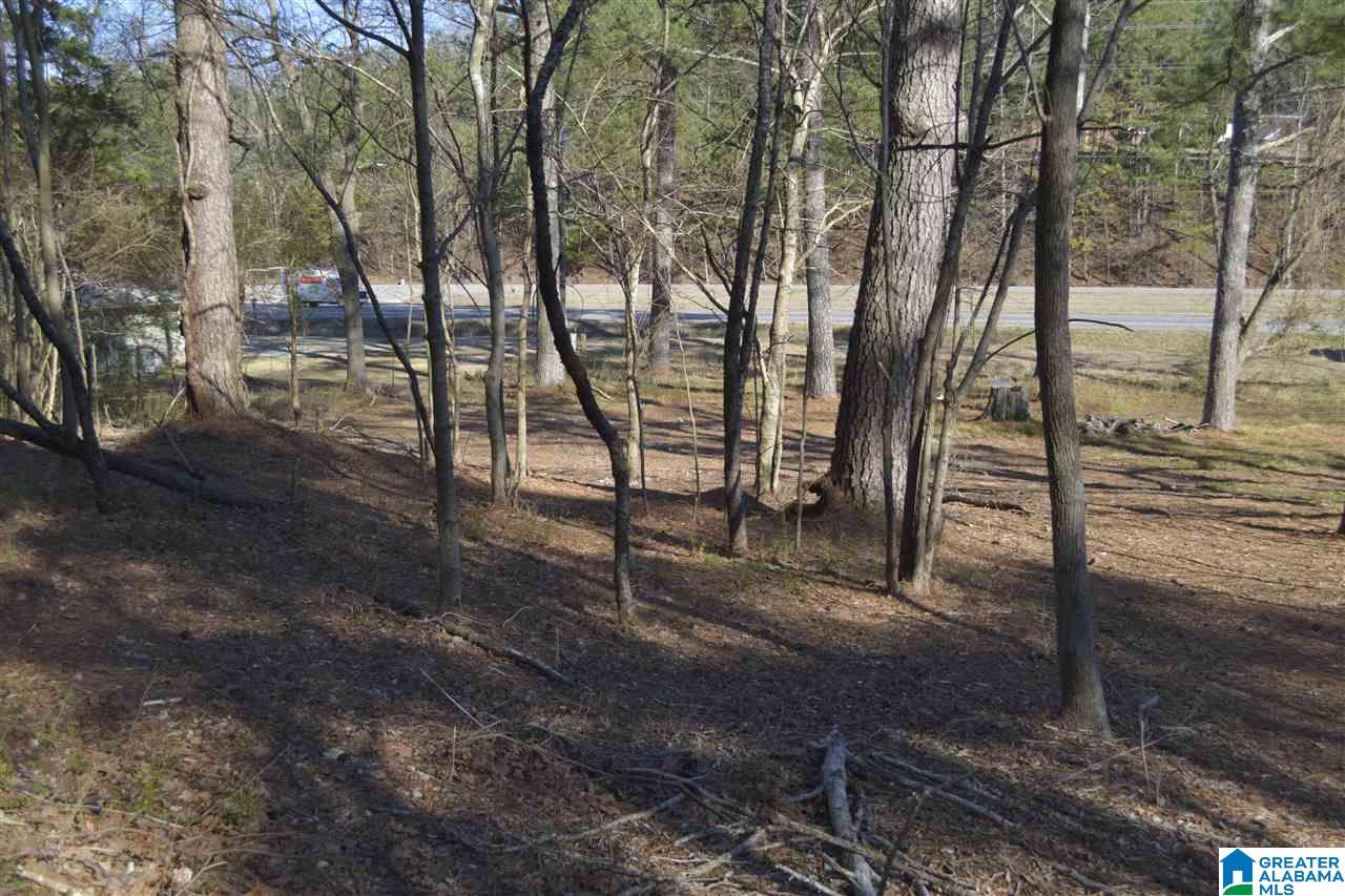 1845 Pelham Road South, Unit VACANT LOT Jacksonville, AL 36265 - Photo 7 of 11
