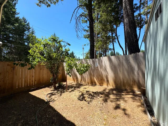 a view of a backyard