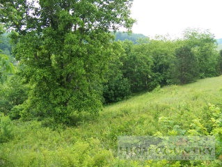 7 Chestnut Ridge Drive Jefferson, NC 28640 - Photo 1 of 1 Gallery Image 1
