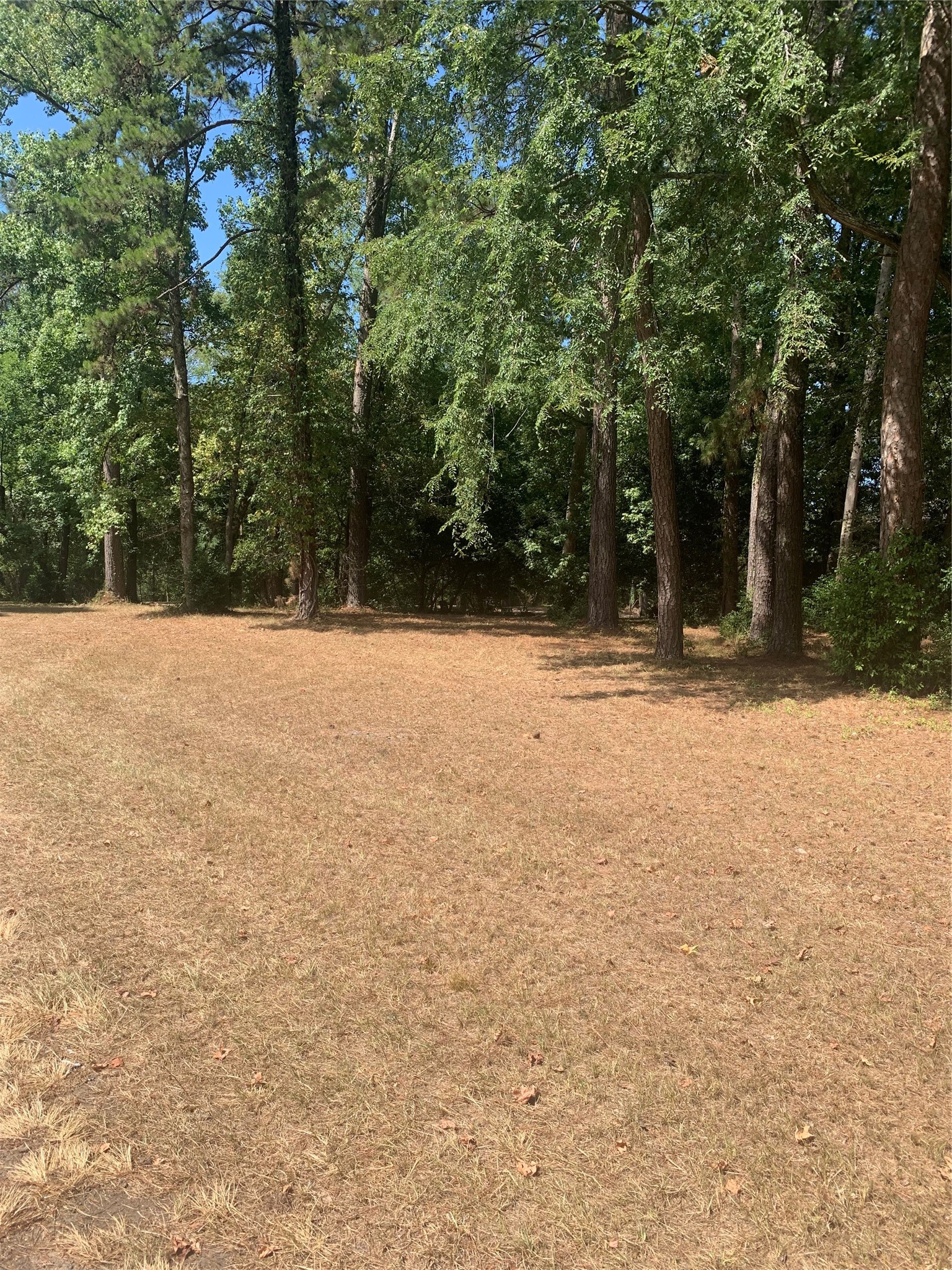 1314 Chain Road Livingston, TX 77351 - Photo 2 of 12 Lots 13 & 14