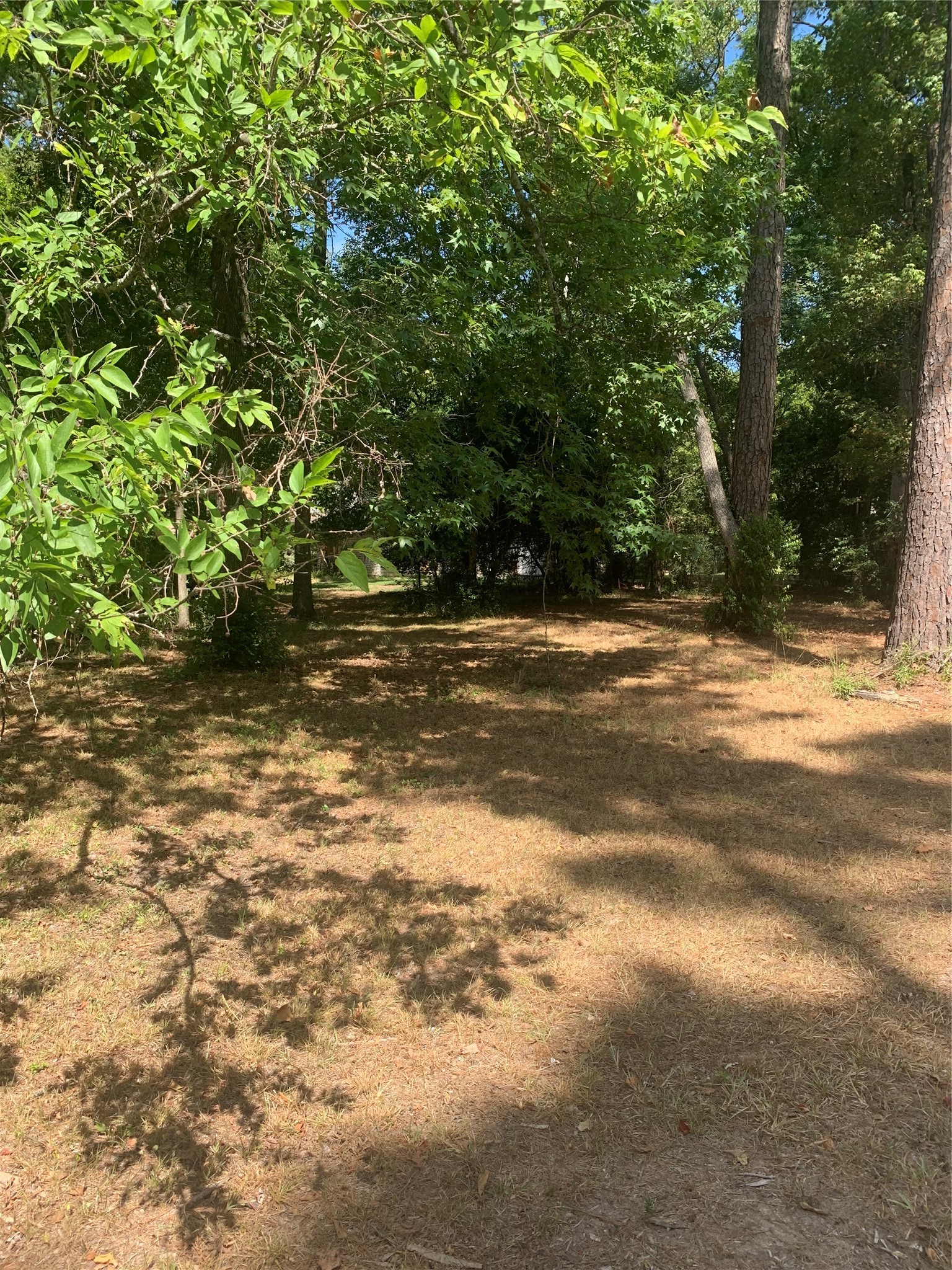 1314 Chain Road Livingston, TX 77351 - Photo 3 of 12 Lots 13 & 14