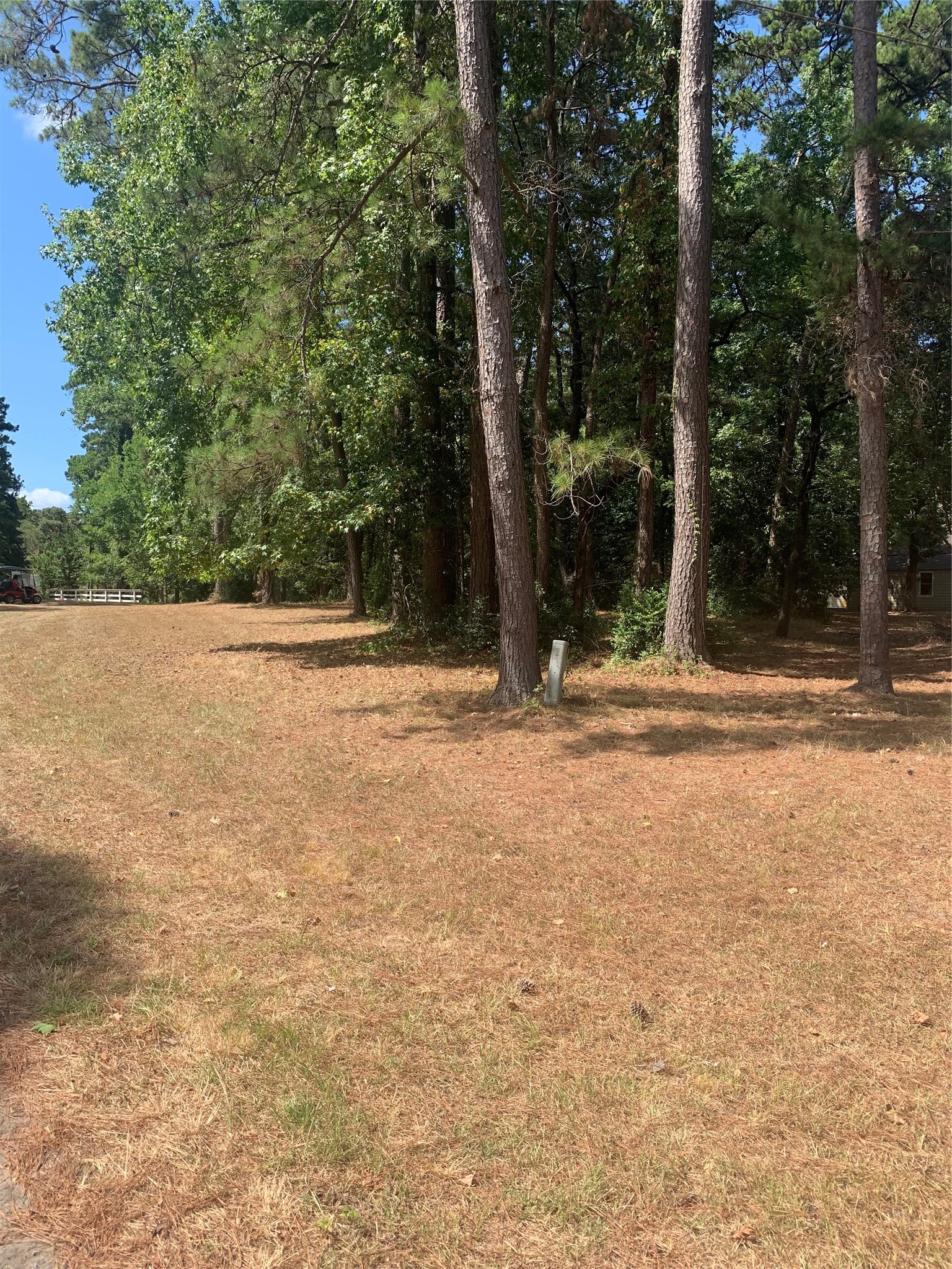 1314 Chain Road Livingston, TX 77351 - Photo 4 of 12 Lots 13 & 14