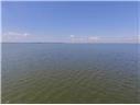 1314 Chain Road Livingston, TX 77351 - Photo 5 of 12 Lake Livingston 83,000 acres of fun in the sun
