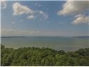 1314 Chain Road Livingston, TX 77351 - Photo 6 of 12 Pinwah Pine is a mature neighborhood full of trees