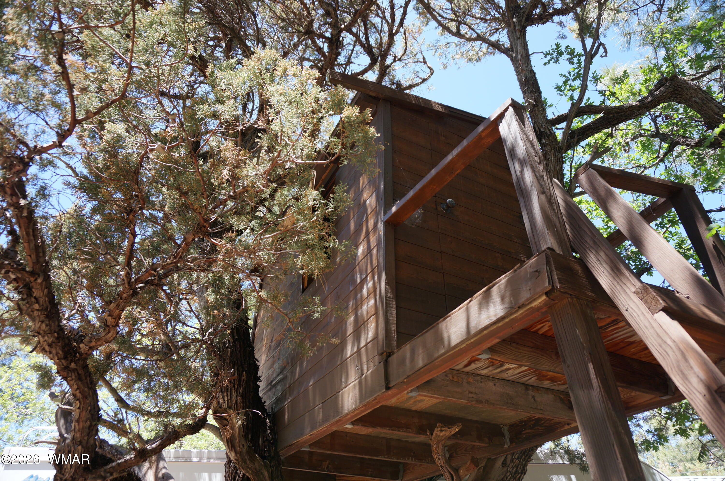 6066 Wagon Wheel Road Lakeside, AZ 85929 - Photo 26 of 32 a backyard of a house