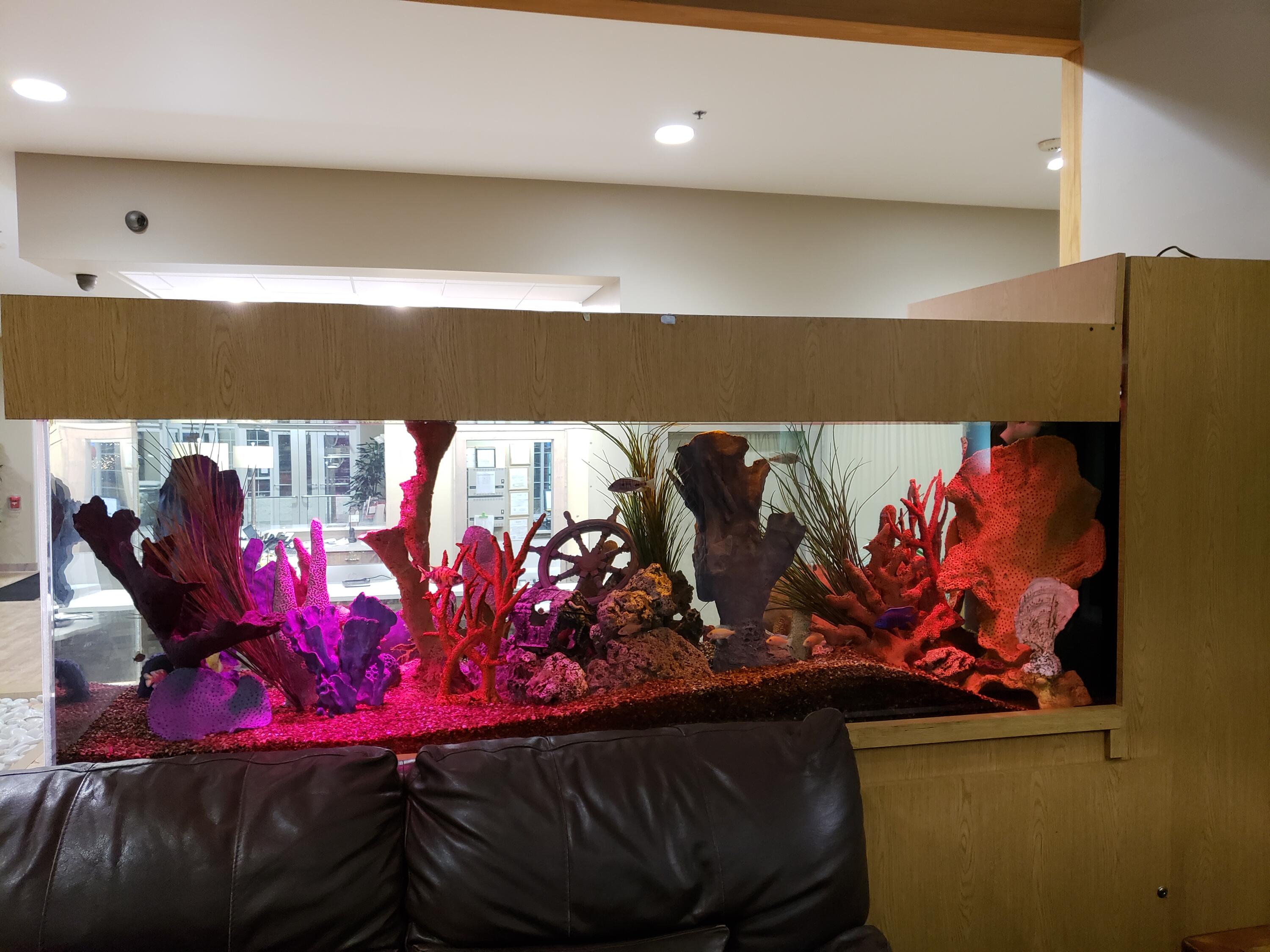 111 Center Street, Unit 235 Lake Geneva, WI 53147 - Photo 29 of 47 29 - Fish Tank at the Cove