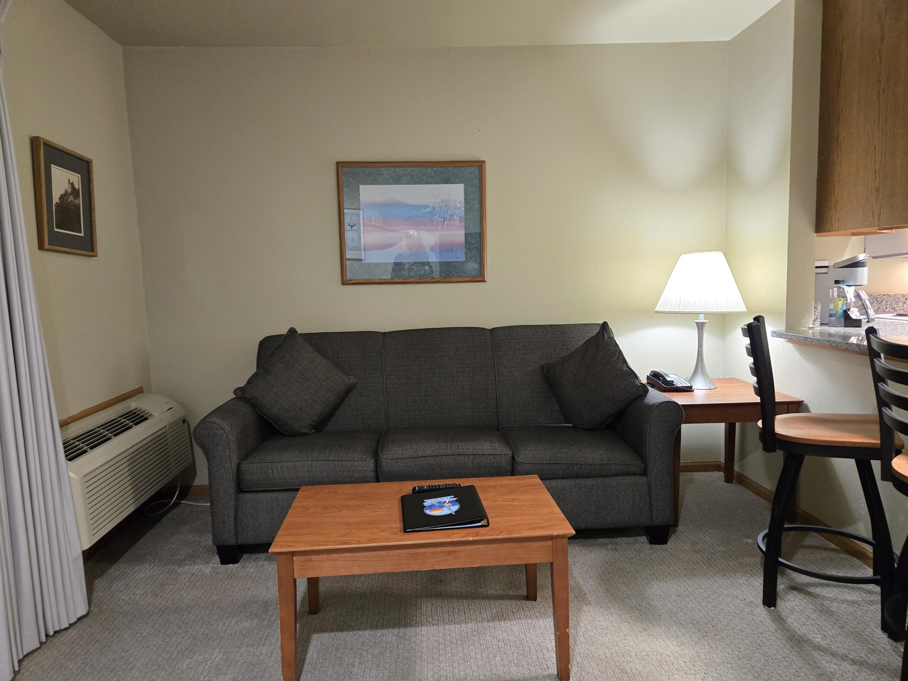 111 Center Street, Unit 235 Lake Geneva, WI 53147 - Photo 9 of 46 Queen Size Pull Out Sofa Sleeper