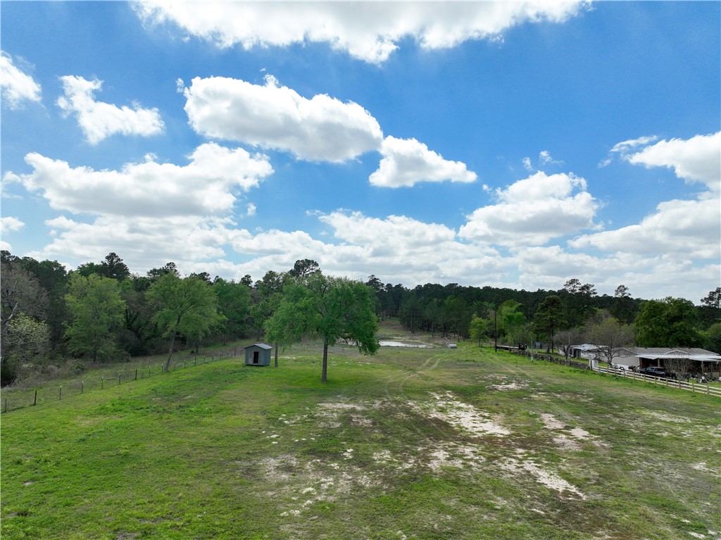 12082 State Highway 30 Anderson, TX 77830 - Photo 10 of 18